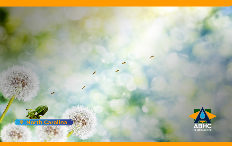 How to remove pollen from your house by cleaning windows and surfaces in spring